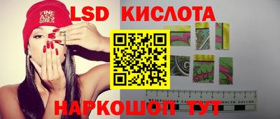 прущие грибы Заводоуковск