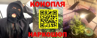 прущие грибы Заводоуковск