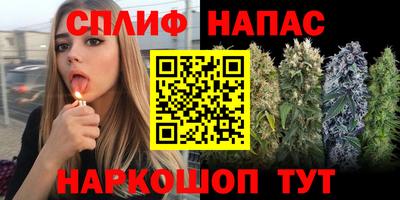 прущие грибы Заводоуковск