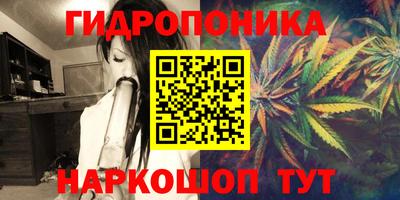 прущие грибы Заводоуковск