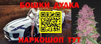 прущие грибы Заводоуковск