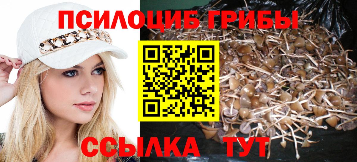 Мелеуз  Галлюциногенные грибы Magic Shrooms  Вход с VPN 