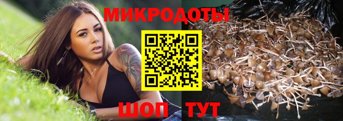Галлюциногенные грибы Cubensis Мелеуз